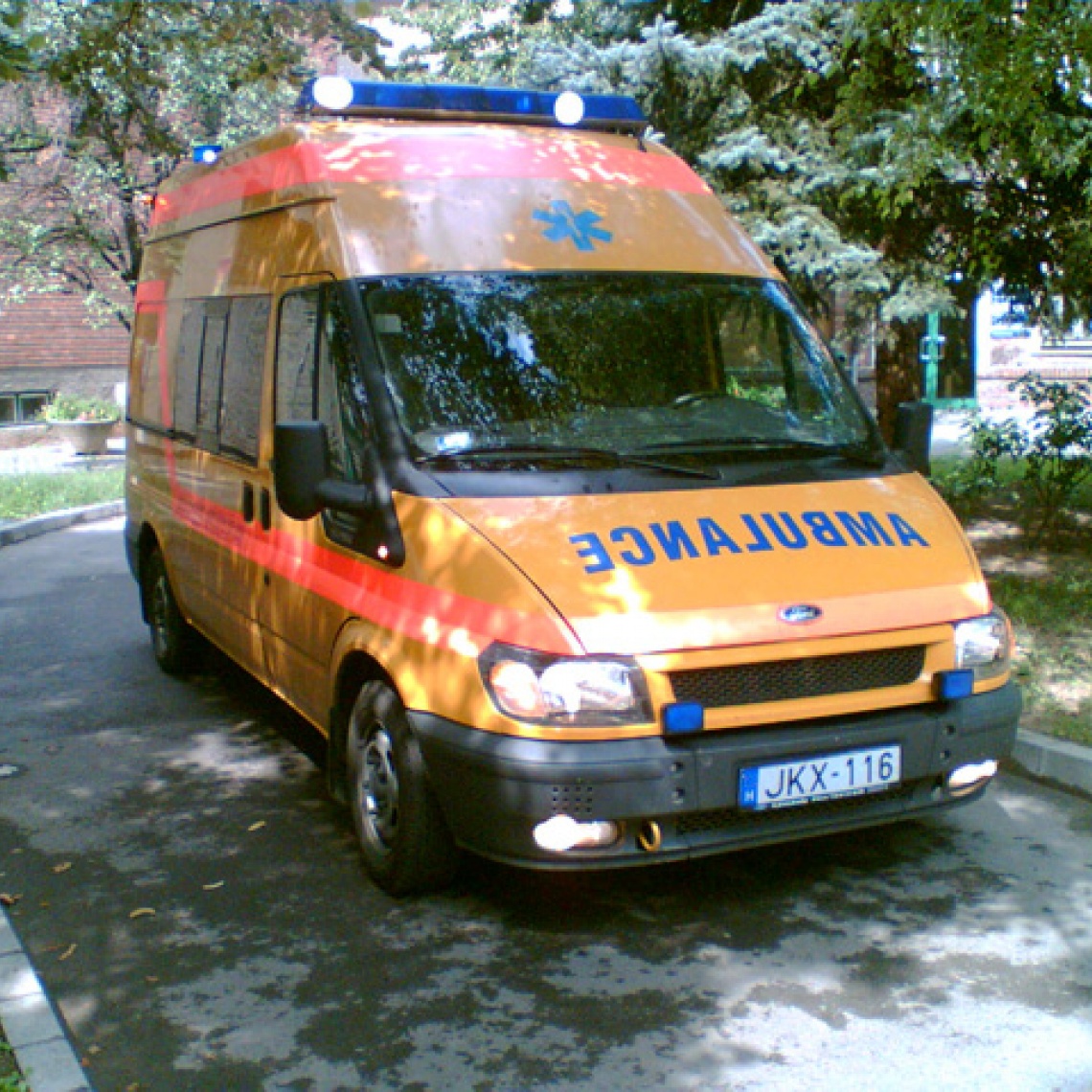 Képek az alapítvány tevékenységéről